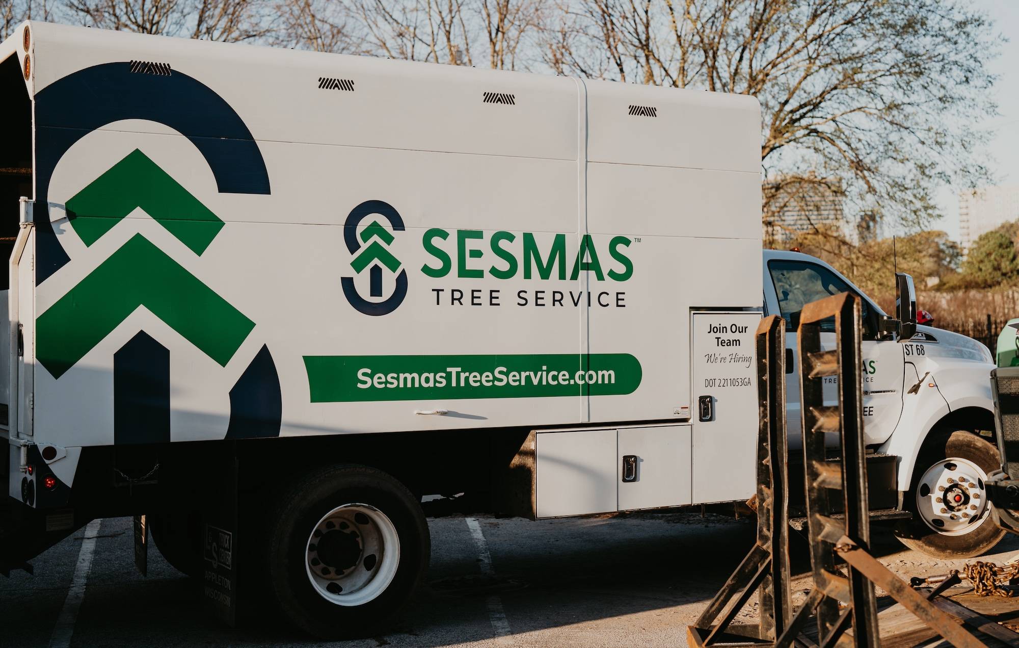 Reliable Tree Removal & Care Services in Woodstock, GA