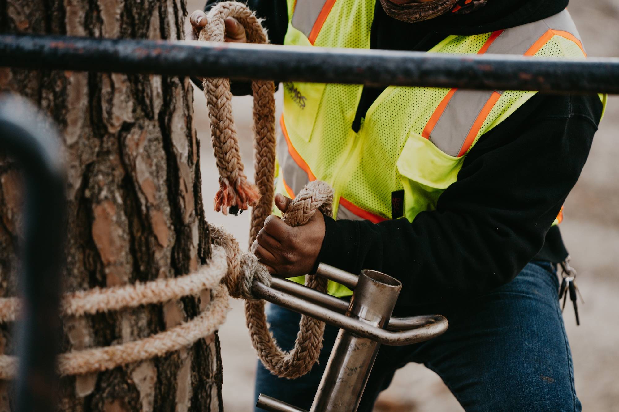 Reliable Tree Removal & Care Services in Buckhead, GA