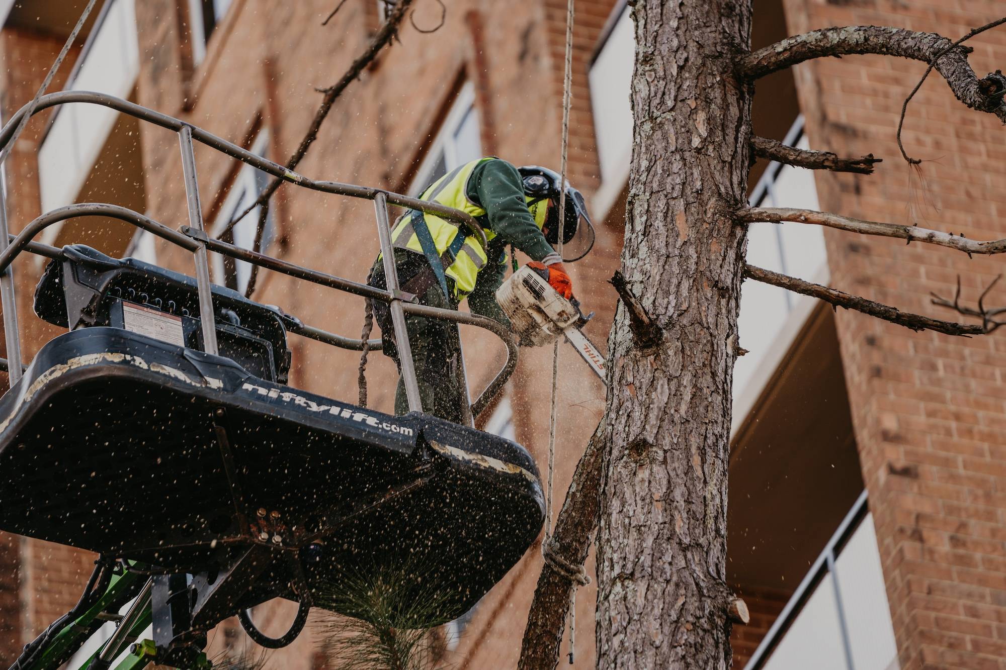 Reliable Tree Removal & Care Services in Buford, GA