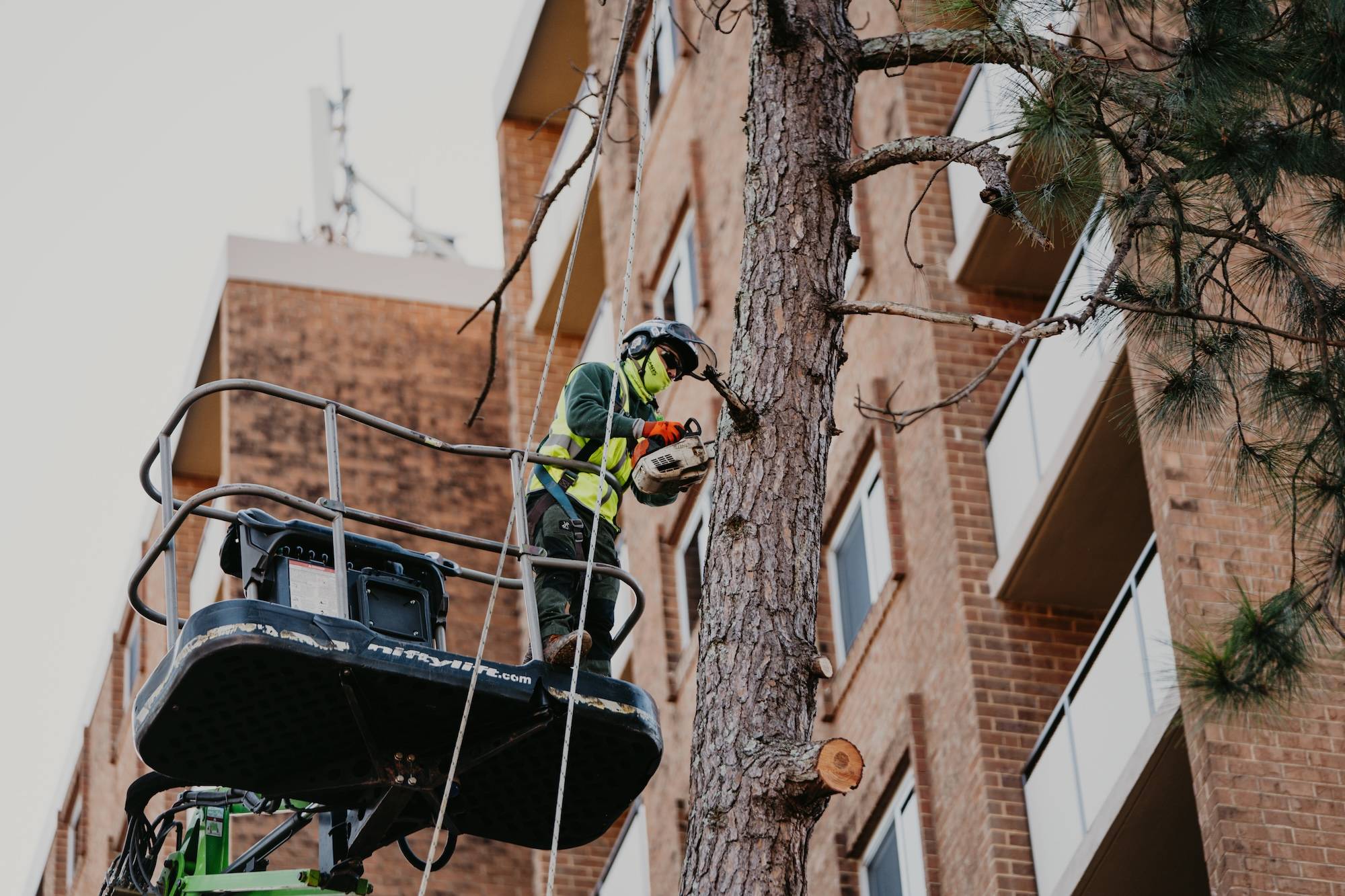 Reliable Tree Removal & Care Services in Decatur, GA