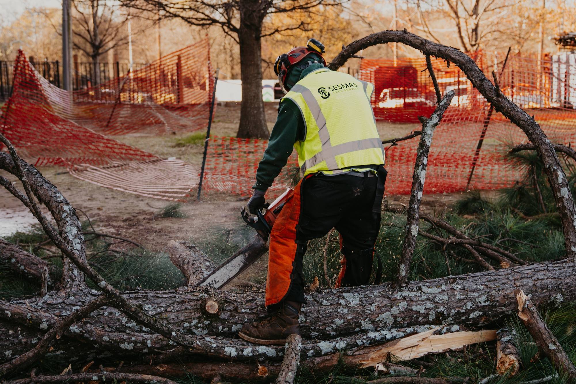 Reliable Tree Removal & Care Services in Suwanee, GA