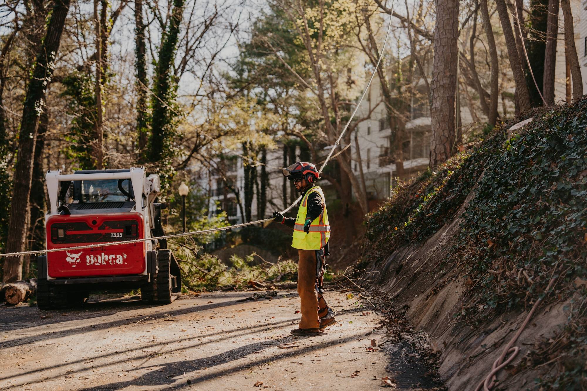 Reliable Tree Removal & Care Services in Sandy Springs, GA