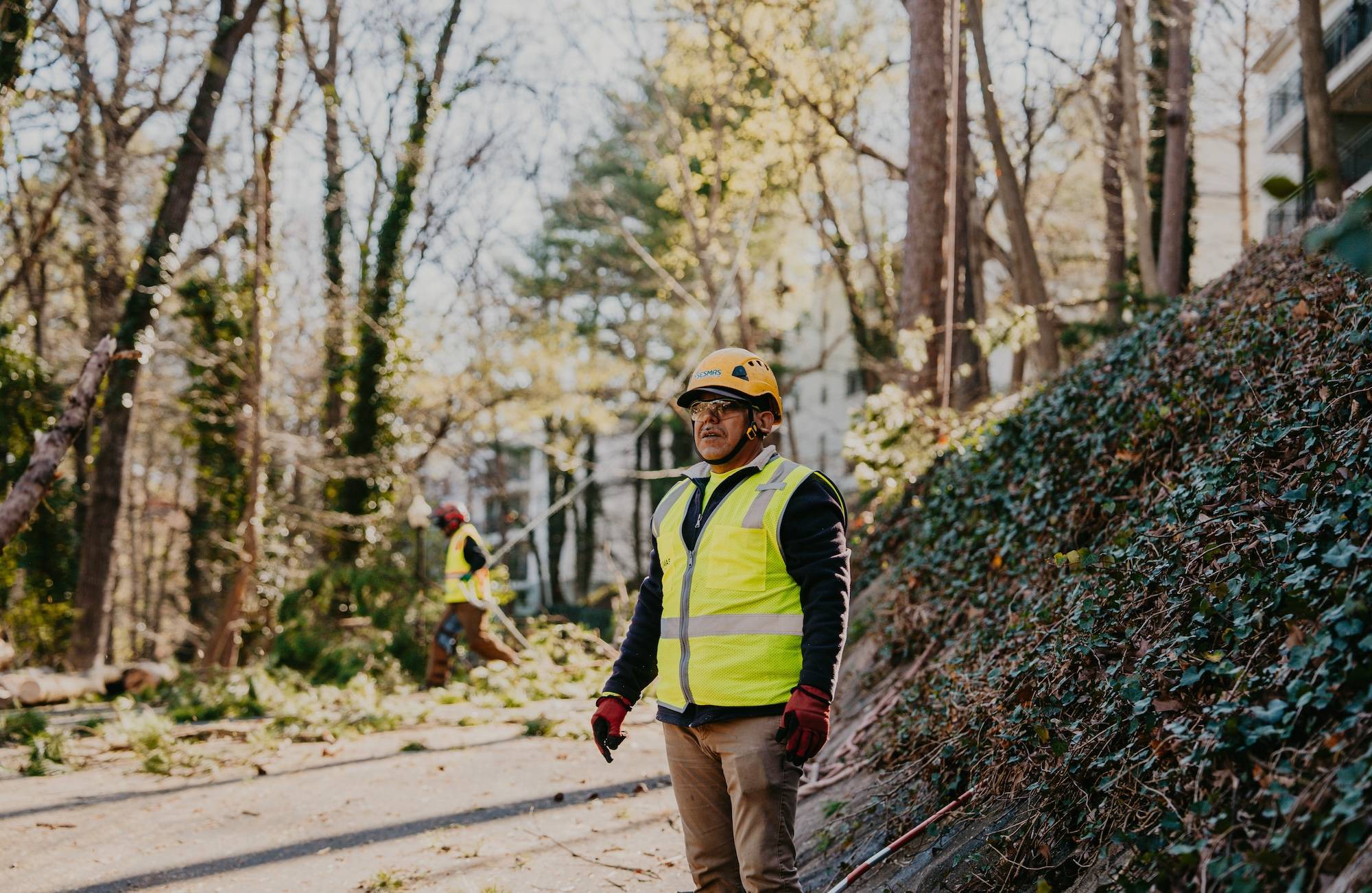 Reliable Tree Removal & Care Services in Dunwoody, GA