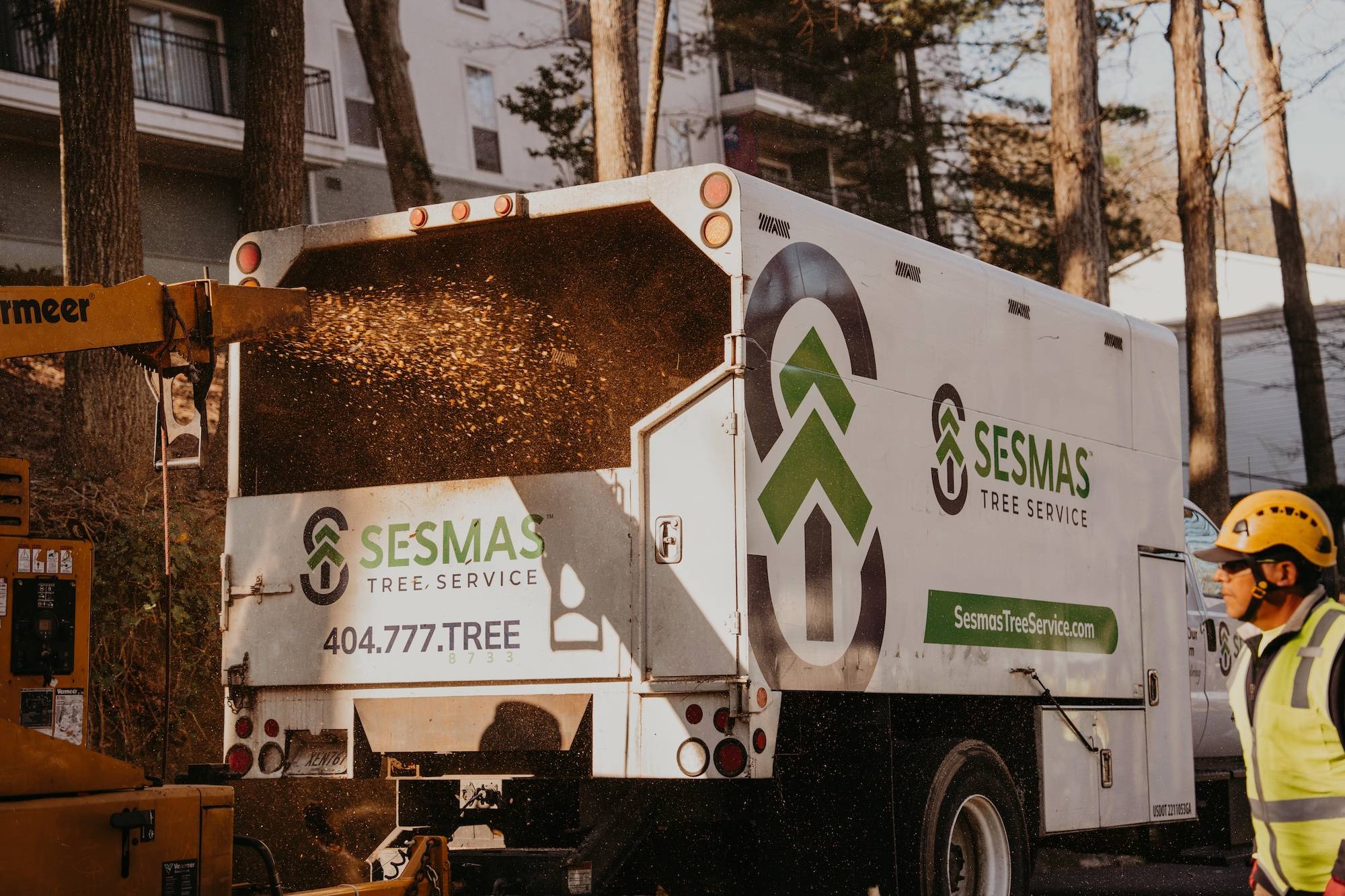 Aeration and Seeding