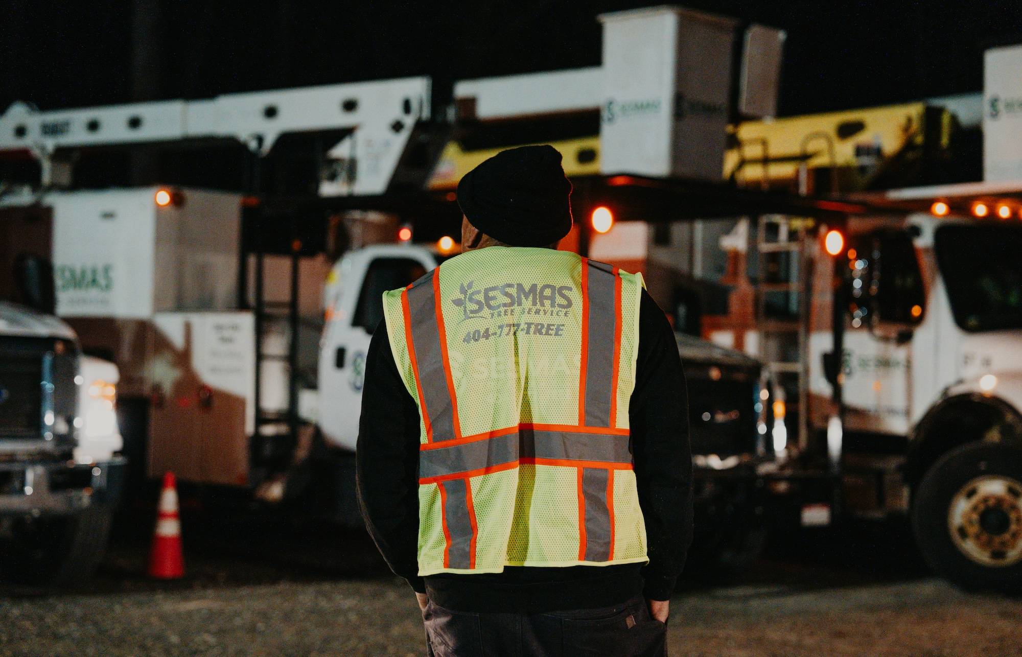 Schedule Tree Services Today