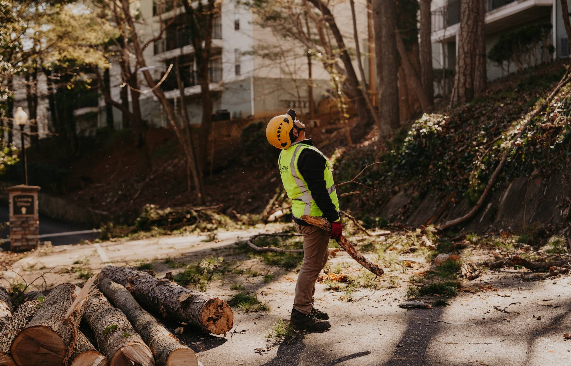 Lawn Care in Suwanee