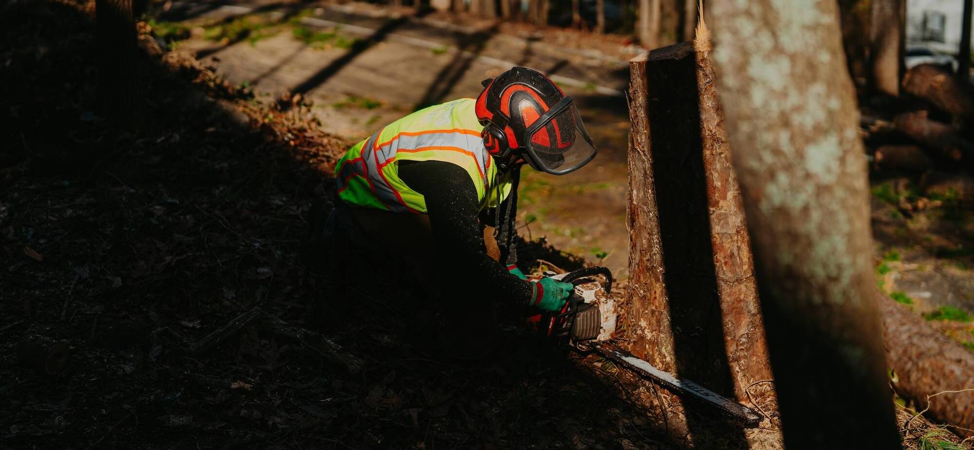 Land Clearing & Forestry Mulching