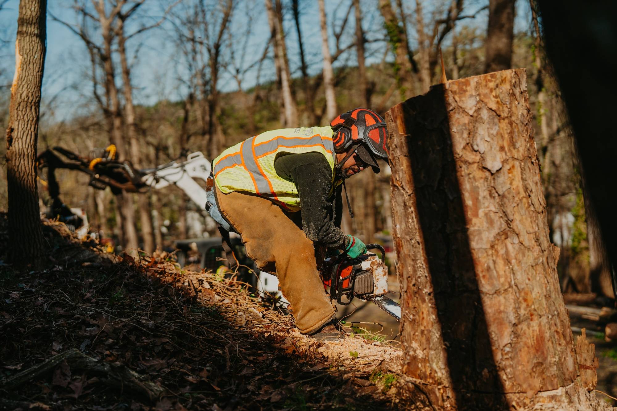 Reliable Tree Removal & Care Services in Suwanee, GA