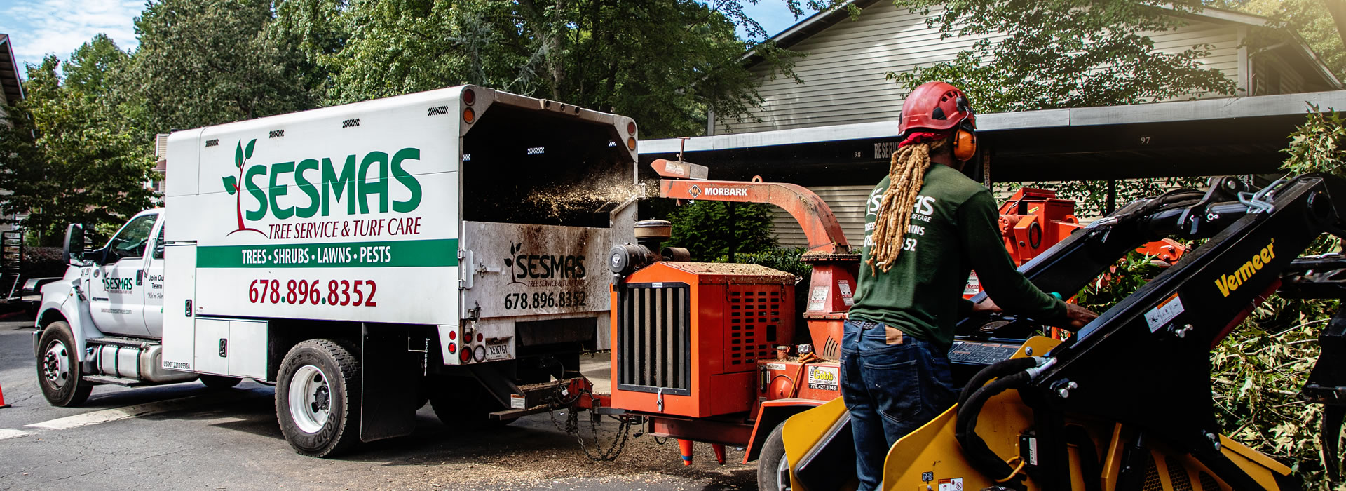 Reliable Tree Removal & Care Services in Buckhead, GA