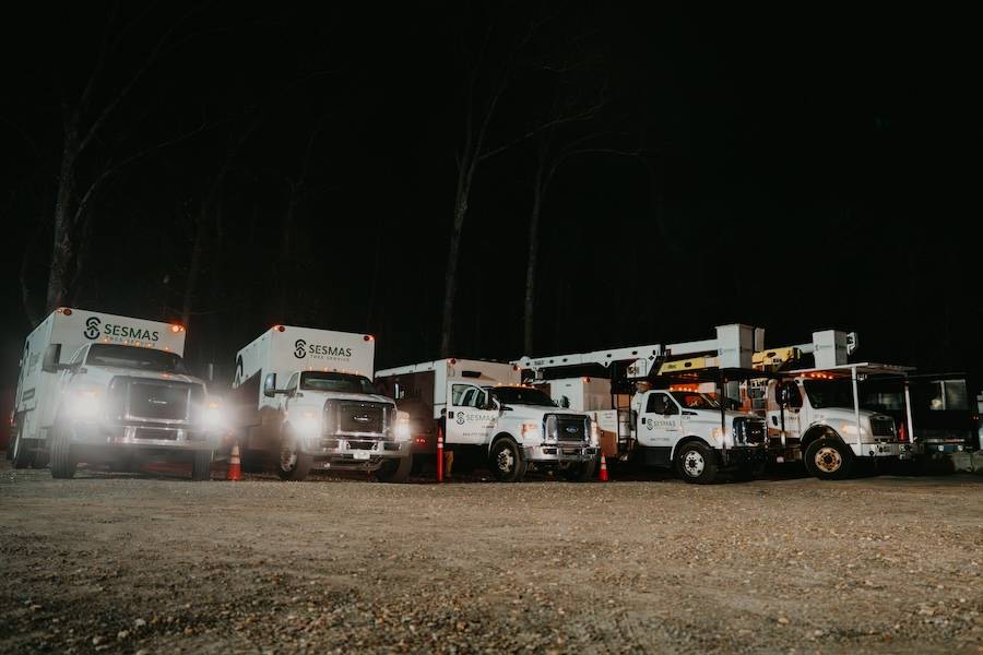 Reliable Tree Removal & Care Services in Weddington, NC