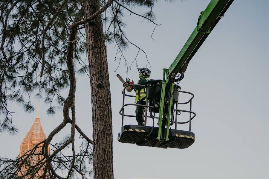 Reliable Tree Removal & Care Services in Acworth, GA
