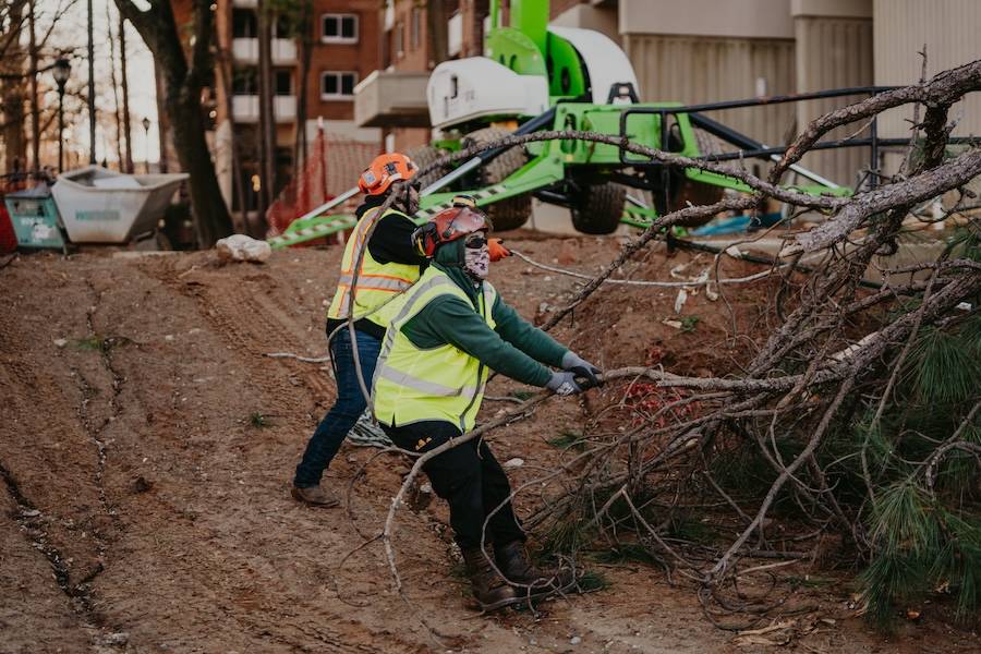 Reliable Tree Removal & Care Services in Woodstock, GA