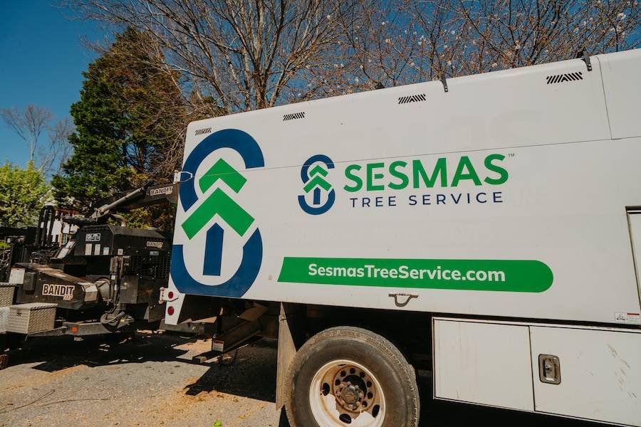 Aeration and Seeding