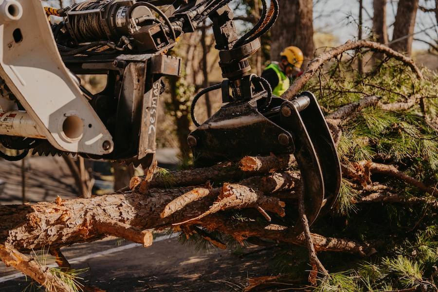 Land Clearing & Forestry Mulching