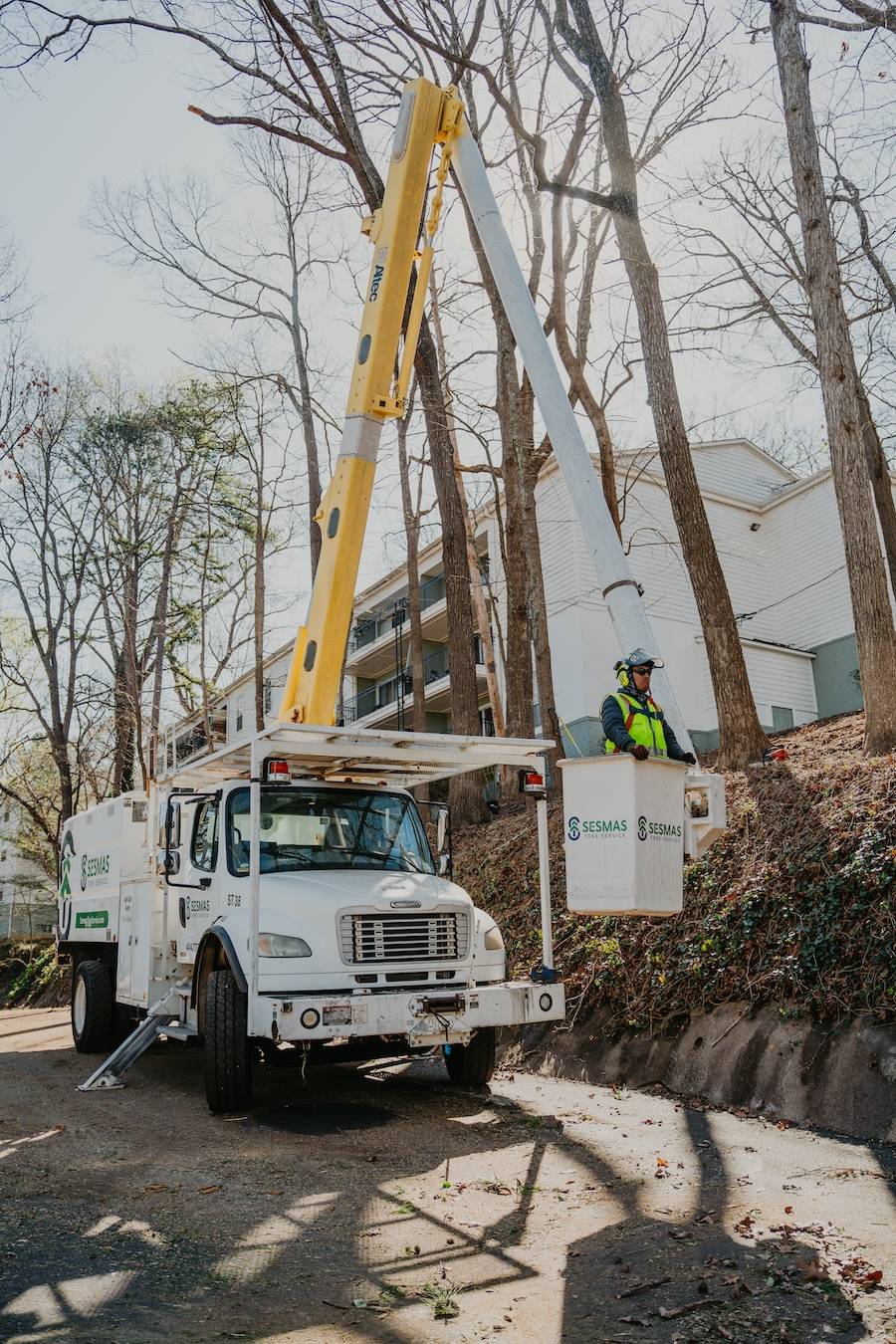 Crane Services