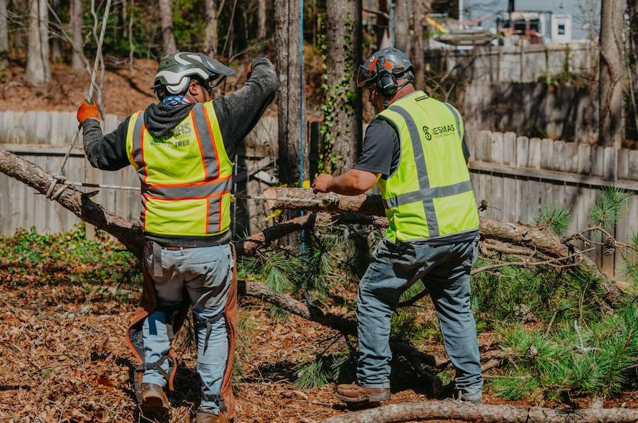 Storm Damage Cleanup
