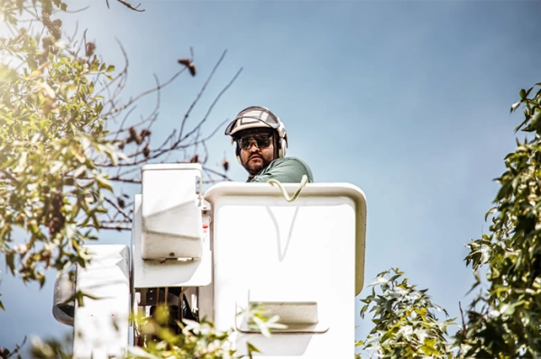 Protecting Properties We Serve