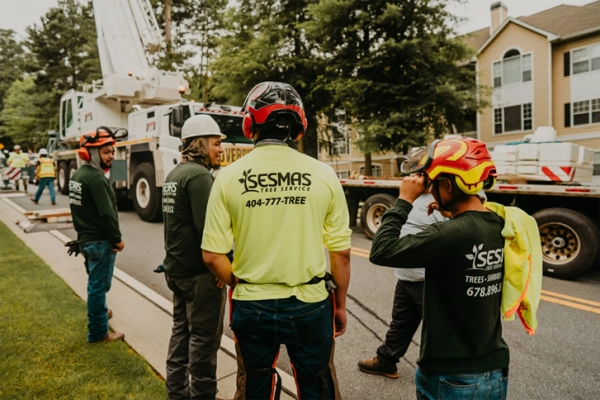 Build a Rewarding Career with a Trusted Tree Service Company