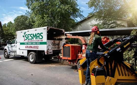 Reliable Tree Removal & Care Services in Atlanta, GA