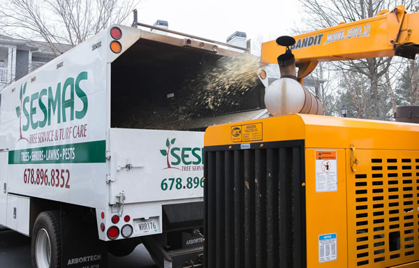 Reliable Tree Removal & Care Services in Woodstock, GA