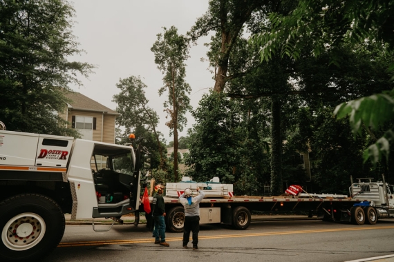 Reliable Tree Removal & Care Services in Weddington, NC