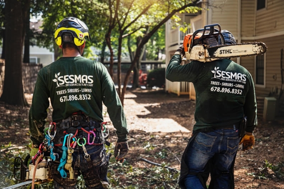 Reliable Tree Removal & Care Services in Sandy Springs, GA