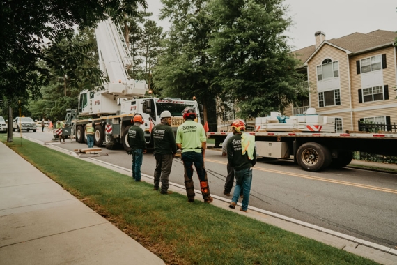 Reliable Tree Removal & Care Services in Decatur, GA