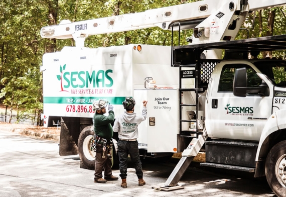 Reliable Tree Removal & Care Services in Snellville, GA