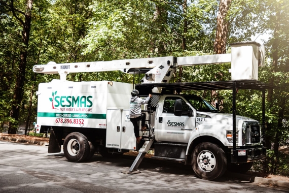 Reliable Tree Removal & Care Services in Cumming, GA