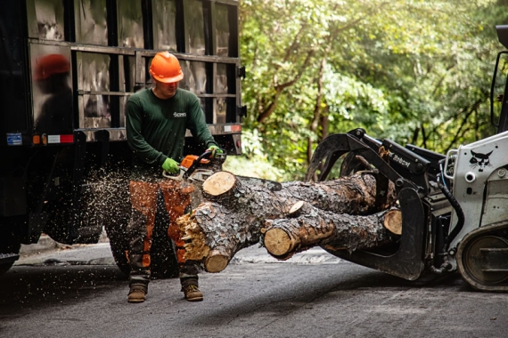 Reliable Tree Removal & Care Services in Marietta, GA