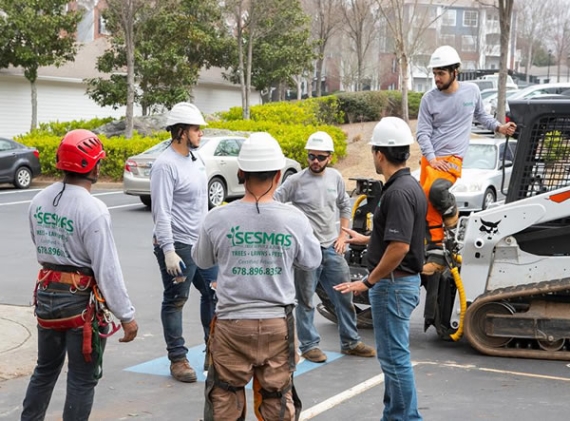 Reliable Tree Removal & Care Services in Pineville, NC