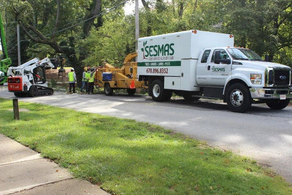 Reliable Tree Removal & Care Services in Atlanta, GA