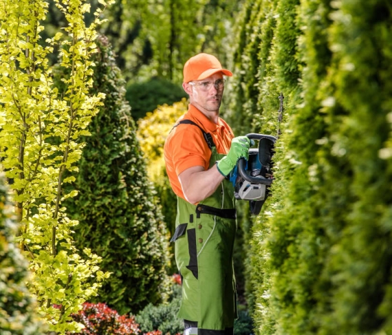 Tree & Shrub Care