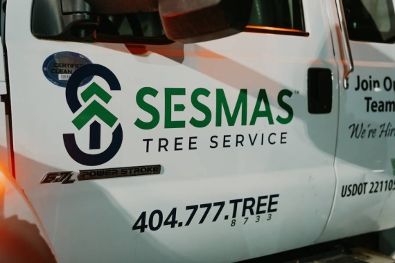 Reliable Tree Removal & Care Services in Rock Hill, SC