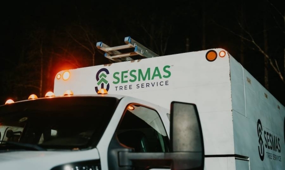 Reliable Tree Removal & Care Services in Fort Mill, SC