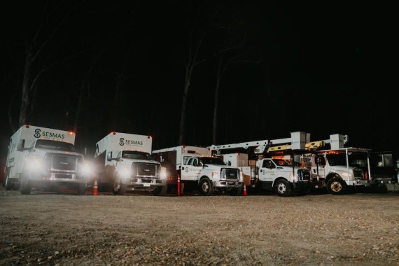 Reliable Tree Removal & Care Services in Weddington, NC