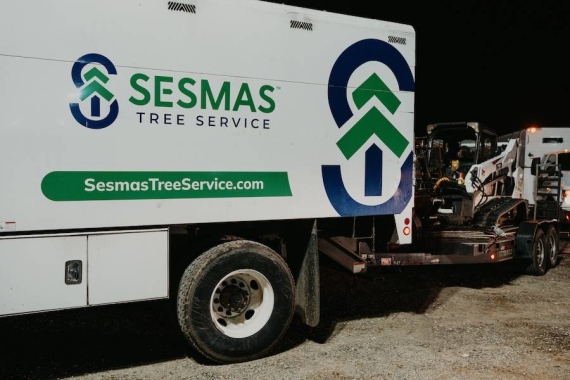 Reliable Tree Removal & Care Services in Mint Hill, NC
