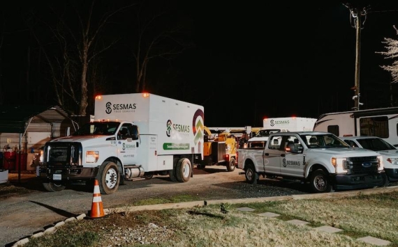 Reliable Tree Removal & Care Services in Cornelius, NC