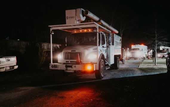 Reliable Tree Removal & Care Services in Kannapolis, NC