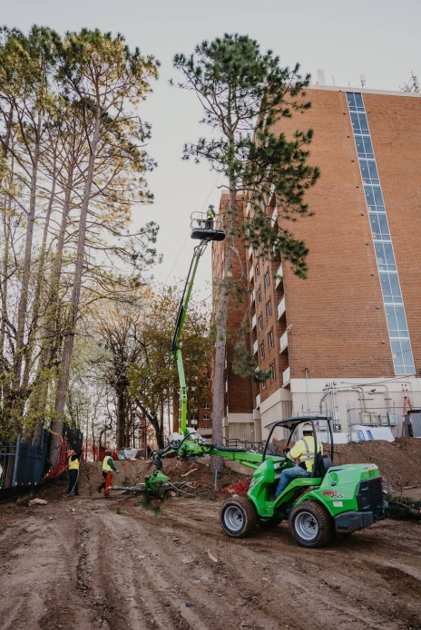 Reliable Tree Removal & Care Services in Athens, GA