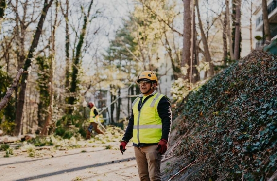 Reliable Tree Removal & Care Services in Milton, GA