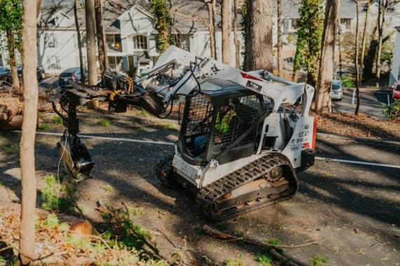 Reliable Tree Removal & Care Services in Suwanee, GA