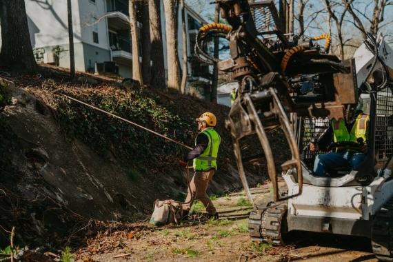 Reliable Tree Removal & Care Services in Sandy Springs, GA