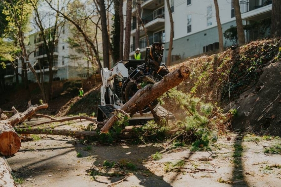 Reliable Tree Removal & Care Services in Johns Creek, GA