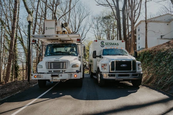 Reliable Tree Removal & Care Services in Duluth, GA