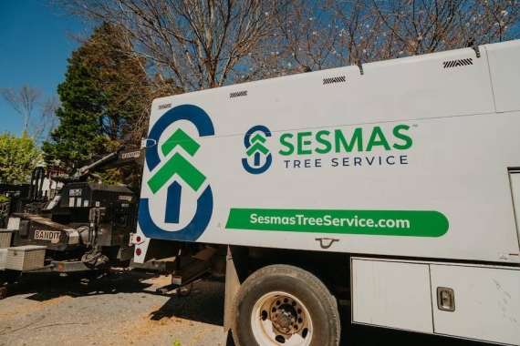 Aeration and Seeding