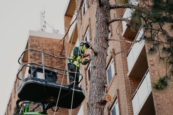 Multi-Family/Apartments