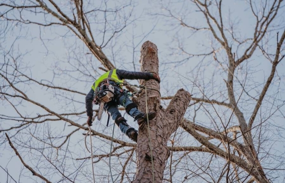 Utility/DOT Right of Way