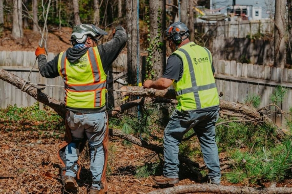 Storm Damage Cleanup