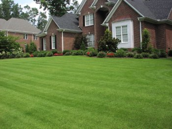 Lawn Care in Lawrenceville